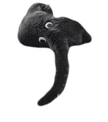 elephant cat tail funny googly eyes tiktok