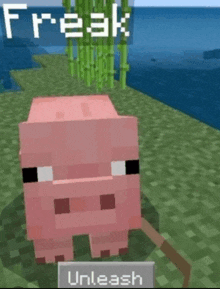 a picture of a pig in a minecraft game with the words freak unleash below it