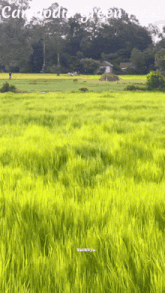 a picture of a field with the words cambodia green