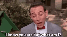 Peewee Herman I Know You Are But What Am I GIF - Peewee Herman I Know You Are But What Am I I Know What You Are GIFs