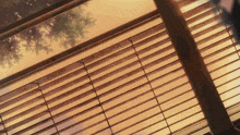 a close up of a window with blinds on it and a tree in the background