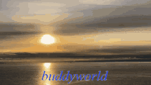 Buddyworld Buddywudd GIF