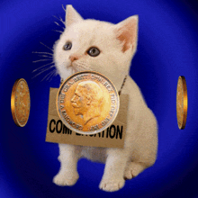 I Want Compensation Pay Me GIF - I Want Compensation Pay Me Compensate Me GIFs