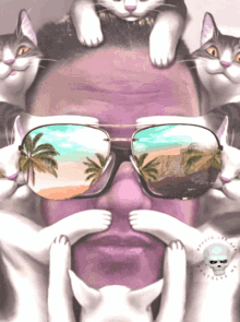 Shades On Cat GIF - Shades On Cat Palm Trees GIFs