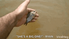 a man is holding a small fish in his hand and says " she 's a big one "