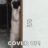Cover Up Cover Yourself Up GIF - Cover Up Cover Yourself Up Hide GIFs