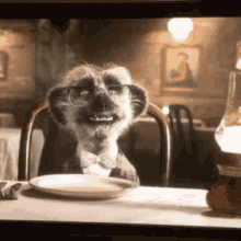 Thumbs Up Yes GIF - Thumbs Up Yes Funny Animals GIFs