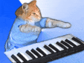 Keycat Keyboard Cat GIF - Keycat Keyboard Cat Keycat Base GIFs