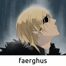 a picture of a man with the name faerghus on the bottom right