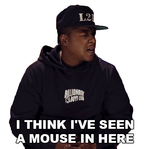 I Think Ive Seen Mouse In Here Jadakiss Sticker - I Think Ive Seen Mouse In Here Jadakiss I Saw A Mouse Stickers