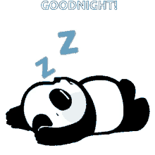 Panda Sleep GIF - Panda Sleep GIFs