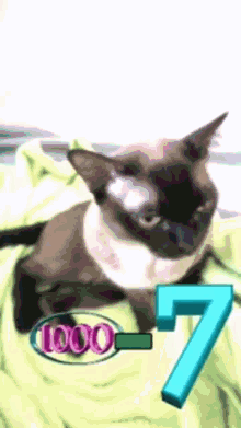 a cat is laying on a green blanket with the number 7 in the background