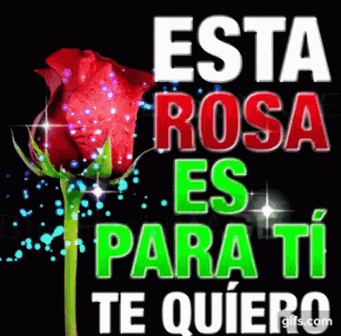 Rosa Roja Para Ti GIF - Rosa Roja Para Ti Rose - Discover & Share GIFs