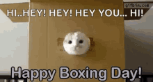 boxing day hey hi hello box