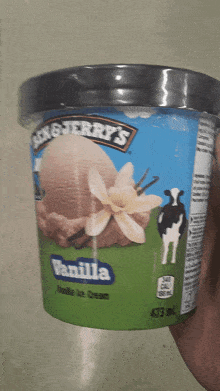 Ben And Jerrys Vanilla Ice Cream GIF