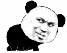 panda meme