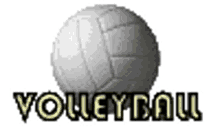 ball volleyball