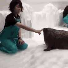 a woman is petting a seal while kneeling down in the snow