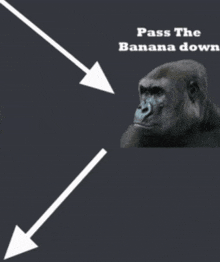 a gorilla with an arrow pointing to a banana and the words pass the banana down