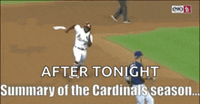 Summary St Louis Cardinalsseason GIF