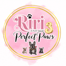 Riri And Her 3 Perfect Paws GIF