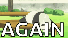 Lazy Panda GIF
