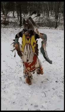 apache indio vaile apache