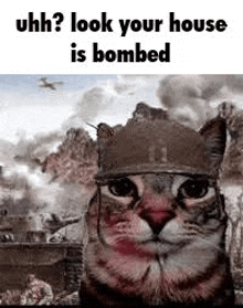 Cat Meme Soldier GIF - Cat Meme Soldier House Bomb GIFs