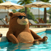 a brown teddy bear wearing sunglasses sits in a pool