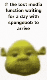 Shrek Meme GIF - Shrek Meme Caption GIFs