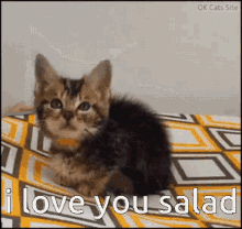 I Love You Salad I Love Salad GIF - I Love You Salad I Love Salad GIFs
