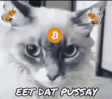 Eet Dat Pussay Bitcoin GIF - Eet Dat Pussay Bitcoin Eet GIFs