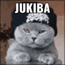 Jukiba Gato GIF - Jukiba Gato GIFs