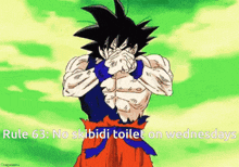 Dbz Skibidi Toilet GIF