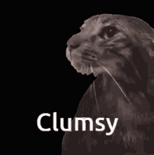 Clumsy Hafnium GIF