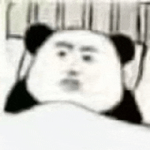 a panda bear is laying on a bed with a blanket on it and making a funny face .