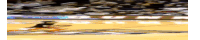 a blurred image of a basketball court with a sign that says u on it