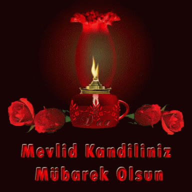 vk yeni türk busty milf escort