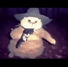a cat is wearing a cowboy hat and holding a gun .