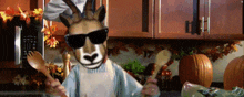 a goat wearing sunglasses and a chef 's hat is holding wooden spoons in a kitchen