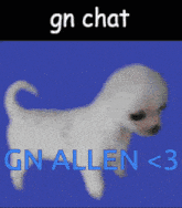 Gn Allen Gn Chat GIF - Gn Allen Gn Chat Eepy Dog GIFs