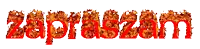the word zapraszam is written in red with a white background