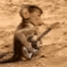 Monkey Playing Guitar GIF - Monkey Playing Guitar GIFs