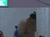 a group of sumo wrestlers are gathered together