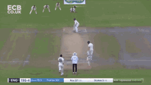 Cricket Jason Roy GIF - Cricket Jason Roy Hazlewood GIFs