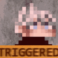 a pixelated image of a person with the word triggered in the corner