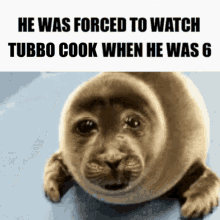 Sad Seal Tubbo GIF - Sad Seal Tubbo Rintubborealis GIFs