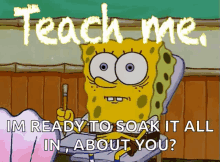 Teach Me Spongebob GIF