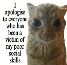 a picture of a cat with the words i apologise to everyone who has been a victim of my poor social skills