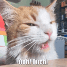 a close up of a cat with the words ooh ouch written below it
